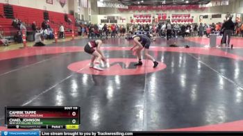 90 lbs 3rd Place Match - Camrik Tappe, Staples Motley Wrestling vs Chael Johnson, New Ulm Rolling Thunder