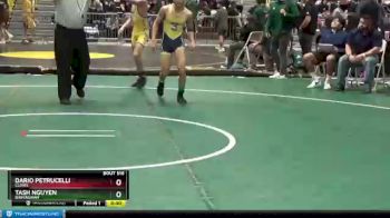 106 lbs Cons. Round 4 - Dario Petrucelli, Clovis vs Tash Nguyen, Birmingham