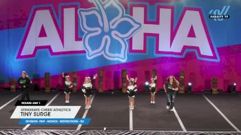 Stingrays Cheer Athletics - Tiny Surge [2025 L1 Tiny - Novice - Restrictions - D2 Day 1] 2025 Aloha Concord Showdown