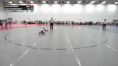 100 lbs Rr Rnd 1 - Adam Bachmann, Mat Assassins Black - EL vs Coltyn Montgomery, Region Wrestling Academy - EL