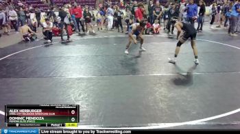 114 lbs Quarterfinal - Dominic Mendoza, Pomona Elite (PWCC) vs Alex Herburger, Steel City Reloaded Wrestling Club