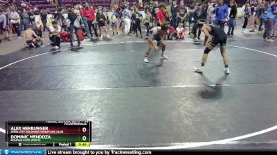 114 lbs Quarterfinal - Dominic Mendoza, Pomona Elite (PWCC) vs Alex Herburger, Steel City Reloaded Wrestling Club