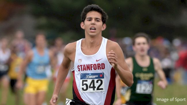 National-Best Five All-Americans - Stanford University Athletics