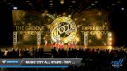 Music City All Stars - Tiny Large Hip Hop [2019 Tiny - Hip Hop Day 2] 2019 WSF All Star Cheer and Dance Championship