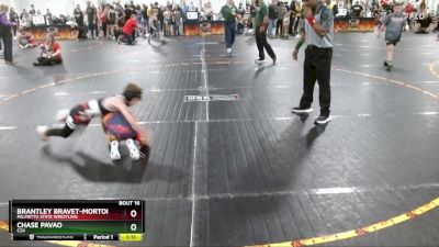 65 lbs Round 1 - Chase Pavao, C2X vs Brantley Bravet-Morton, Palmetto State Wrestling