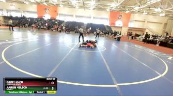 165 lbs Champ. Round 2 - Gabe Lynch, Cortland State vs Aaron Nelson, Ithaca