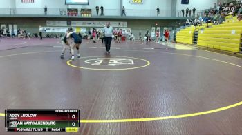 115 lbs Cons. Round 3 - Megan Vanvalkenburg, Canby vs Addy Ludlow, Aloha