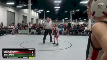 80 lbs Round 5 (10 Team) - Gino Hayes, Brawler Elite vs Jason Reynolds, Smyrna Wrestling