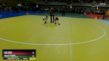 45 lbs Cons. Round 3 - Micah Hoppe, Marshall/Lakeview/RTR vs Leo Shea, Dover-Eyota
