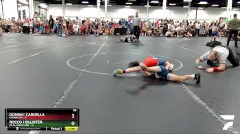 56 lbs Round 1 (4 Team) - Dominic Cardella, Savage WA vs Rocco Hollister, PA Alliance Red