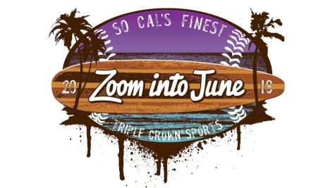 TCS Zoom into June 2016