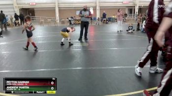 72 lbs Round 5 (6 Team) - Andrew Martin, Dundee WC vs Peyton Hannah, Hazel Park Vikings