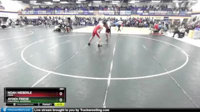 285 lbs Cons. Round 3 - Ayden Friese, Concordia-Moorhead vs Noah Nieberle, MSOE