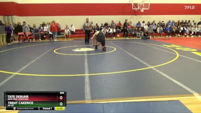 285 lbs Semifinal - Trent Cakerice, AP-GC vs Tate DeBuhr, Dike-New Hartford