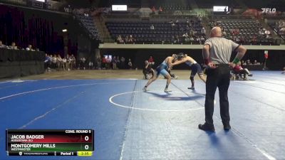 197 lbs Cons. Round 5 - Montgomery Mills, Westminster vs Jacob Badger, Augustana (IL)