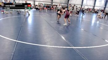 Elite 141 lbs Champ. Round 3 - Ty Fink, Wisconsin-Eau Claire vs Cole Becker, Augsburg College