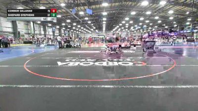 182 lbs Consi Of 32 #2 - Connor Gillahan, PA vs Shepard Stephens, UT
