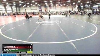 88 lbs Rd# 9- 2:15pm Saturday Final Pool - Cole Caniglia, Agression Legionaries vs Noah Hernandez, M2TC Blue