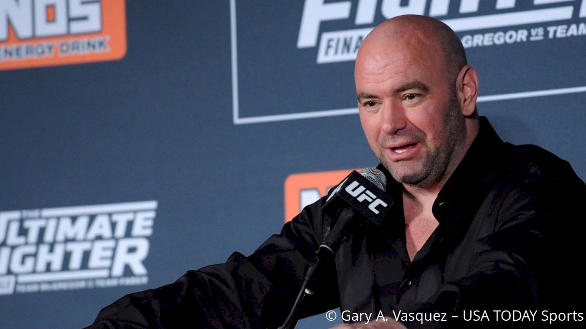 Dana White To Fabricio Werdum: 'What Are You Mad About?'