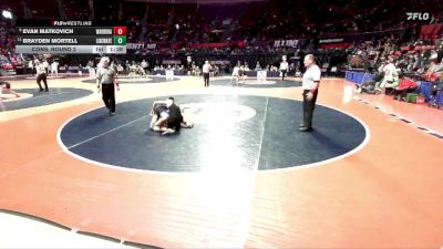 3A 138 lbs Cons. Round 2 - Brayden Mortell, Frankfort (Lincoln-Way East) vs Evan Matkovich, Aurora (West Aurora)