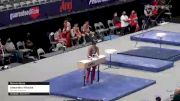 Alexandru Nitache - Pommel Horse, GymTek Academy - 2021 US Championships