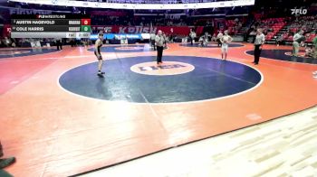 1A 113 lbs Champ. Round 1 - Cole Harris, Braidwood (Reed-Custer) vs Austin Hagevold, Woodstock (Marian)