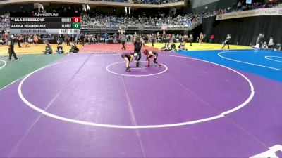 5A 100 lbs Quarterfinal - Lila Breedlove, Borger vs Alexa Rodriguez, Dallas Hillcrest