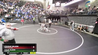 113 lbs Cons. Round 2 - Calin Olson, Riverton vs Cougar Wilson, American Fork