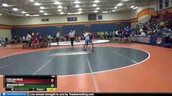 165 lbs Quarterfinal - Bradan Birt, Millikin vs Collin Ruiz, Carthage