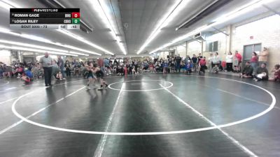 73 lbs Quarterfinal - Roman Gage, Binghamton vs Logan Riley, Cohocton