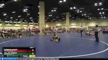 106 lbs Round 1 (10 Team) - Gordon Knapp, Montana Sidney vs Kellen Mesina, Golden Bears