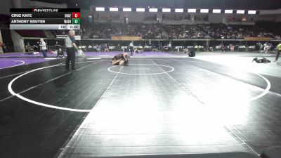 125 lbs Consi Of 32 #2 - Cruz Kaye, Ottawa - Arizona vs Anthony Nguyen, Washington
