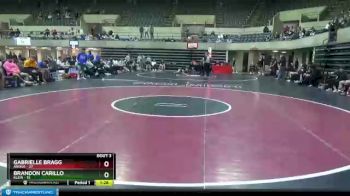 106 lbs Quarterfinals (8 Team) - Gabrielle Bragg, Anoka vs Brandon Carillo, Klein