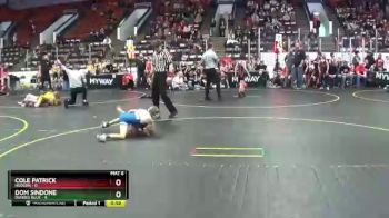 60 lbs Finals (8 Team) - Dom Sindone, Dundee Blue vs Cole Patrick, Hudson