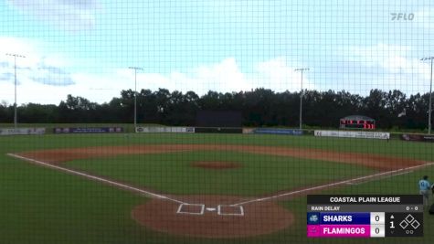 Replay: Sharks vs Flamingos - DH | Jul 22 @ 4 PM