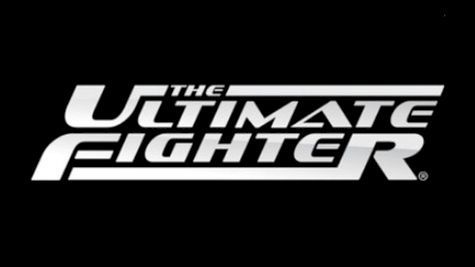 The Ultimate Fighter 23 Finale: Team Joanna vs. Team Claudia