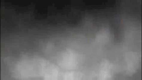 B'ville Cross Country - 2006 Season Video