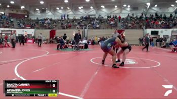 250 lbs Cons. Round 2 - Aryianna Jones, Decatur Central vs Dakota Carmer, Southport