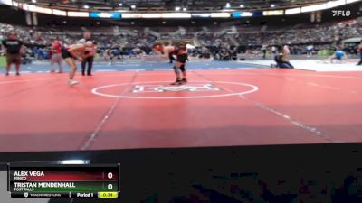 98 lbs Cons. Round 6 - Alex Vega, Minico vs Tristan Mendenhall, Post Falls