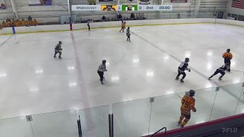Replay: Home - 2024 Jr. Bruins vs SS Kings | Jan 10 @ 11 AM