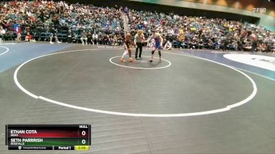 132 lbs Prelim - Seth Parrrish, Roseville vs Ethan Cota, Reno