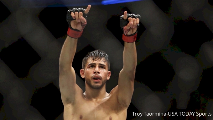 picture of Yair Rodriguez
