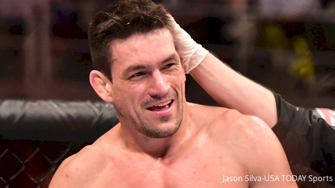 picture of Demian Maia