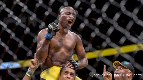 Anderson Silva Says Michael Bisping 'Makes Sense' For Him After UFC 208