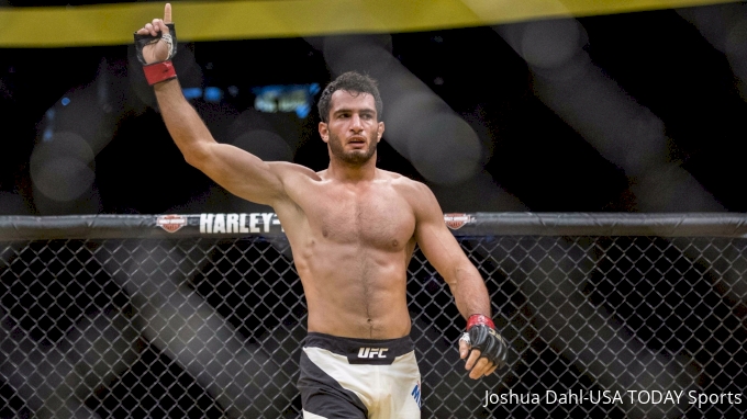 picture of Gegard Mousasi