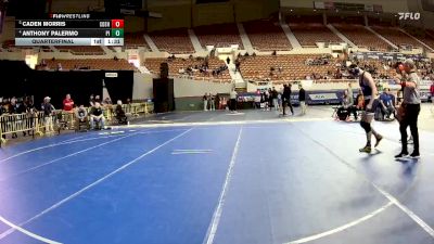 175-D1 Quarterfinal - Caden Morris, Corona Del Sol High School vs Anthony Palermo, Pinnacle High School