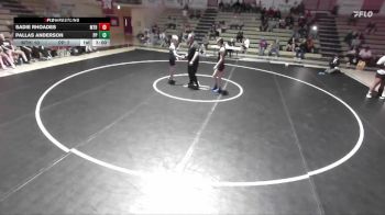 115 lbs Finals (2 Team) - Sadie Rhoades, Mat Thugs-n-Harmony vs Pallas Anderson, Pink Panthers