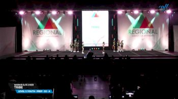 Warrior Elite Cheer - Tribe [2025 L1.1 Youth - PREP - D2 - A Day 1] 2025 The Northeast Regional Summit