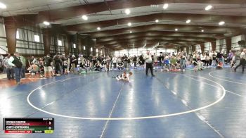 52 lbs Quarterfinal - Storm Porter, Champions Wrestling Club vs Chet Mortensen, Iron County Wrestling Academy