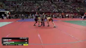 D3-165 lbs Cons. Round 3 - Camren Foster, Liberty Center vs Carson Bey, Versailles